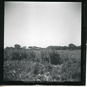 Image description is not available for PHO-4-W689-593a